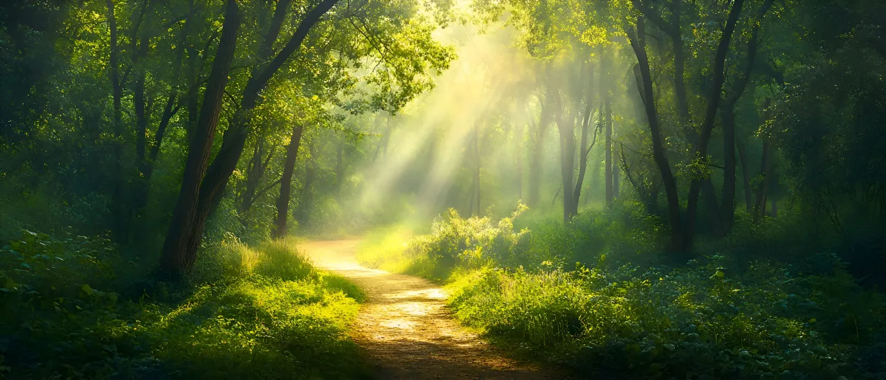 Ruhiger Waldweg als Hintergrundbild